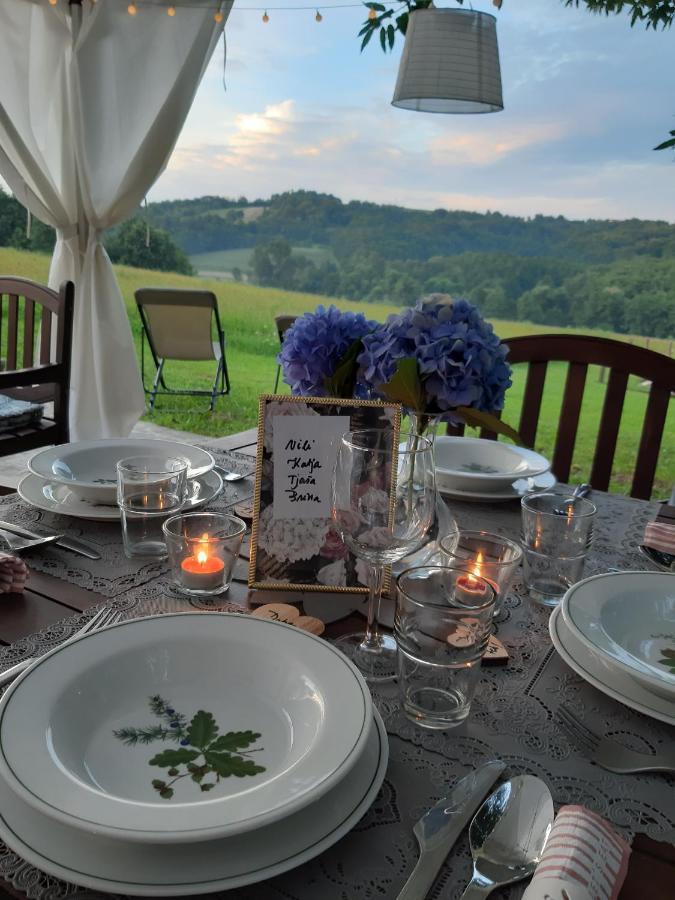 Hisa Antonija Hotel Moravske Toplice Bagian luar foto