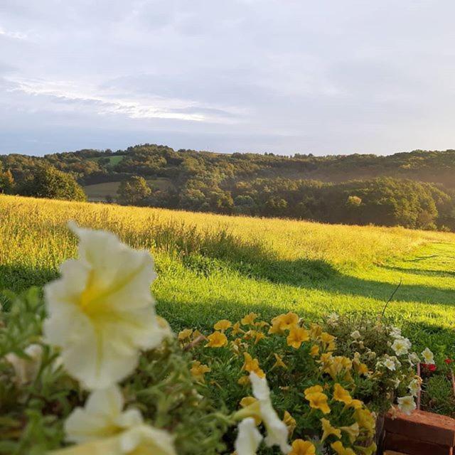 Hisa Antonija Hotel Moravske Toplice Bagian luar foto